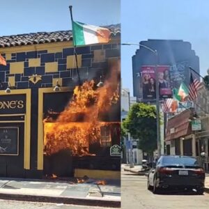 Beloved Los Angeles bar found engulfed in flames