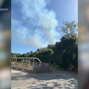 Fire crews responded to 0.6-acre vegetation fire near Haskell’s Beach in Goleta Wednesday