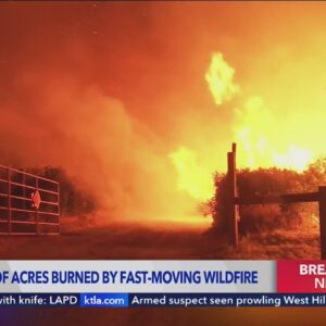 Fast-moving brush fire near 5 Freeway in Gorman grows to 11,000 acres