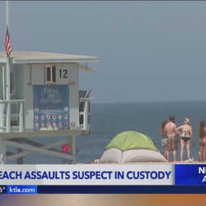 Homeless man arrested for attacking women at Santa Monica Beach