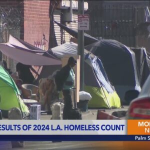 Los Angeles sees drop in homelessness for first time in years