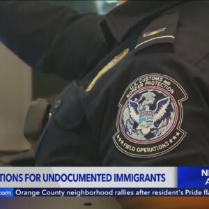 Half a million immigrants could get U.S. citizenship under new plan from Biden