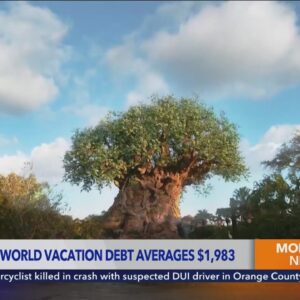 Parents taking children to Walt Disney World acquire nearly $2K in debt, study shows