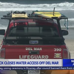 Shark attack prompts beach closure in Del Mar