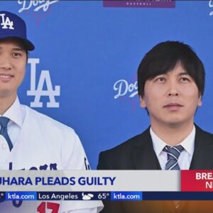 Shohei Ohtani interpreter pleads guilty to stealing $17M from star