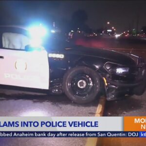 Tesla slams into police car responding to deadly motorcycle crash 