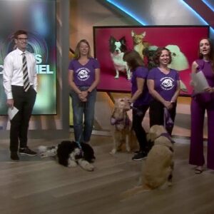 Therapy Dogs of Santa Barbara bring smiles to The Morning News