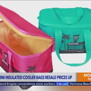 Trader Joe’s $3.99 mini-cooler bag hits resell websites