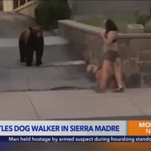 WATCH: Dog walker has extremely close encounter with wild bear