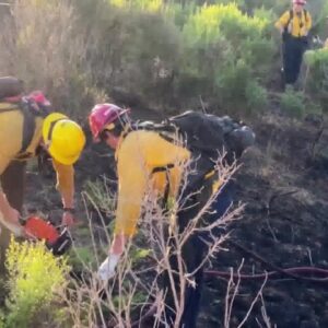 5 Teens were detained for starting a Vegetation fire Wednesday night