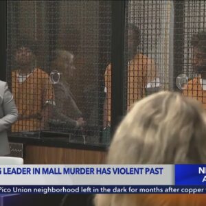 Accused ringleader in O.C. mall homicide has history of violence