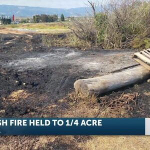 Crews put out small fire near UC Santa Barbara Housing Complex