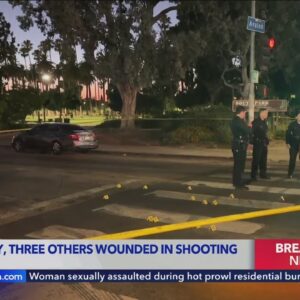 Drive-by shooting injures four in South Los Angeles