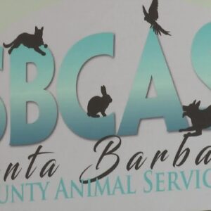Santa Barbara County offering free protective services to pet owners for 4th of July holiday