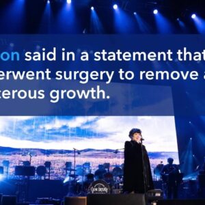 Heart lead singer Ann Wilson reveals cancer diagnosis, postpones tour
