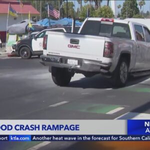 Hollywood crash rampage