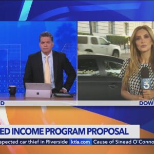 L.A. City Council considers guaranteed income program