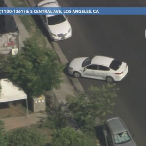 L.A. police pursue suspected car thief