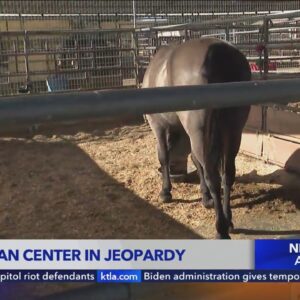 Lakewood Equestrian Center in jeopardy of closing