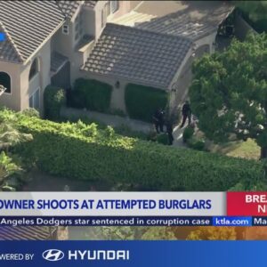 LAPD: homeowner shoots at attempted burglars