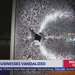 Man with baseball bat targets church, businesses in San Fernando Valley 