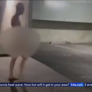 Naked man scaring residents of Santa Monica apartment complex