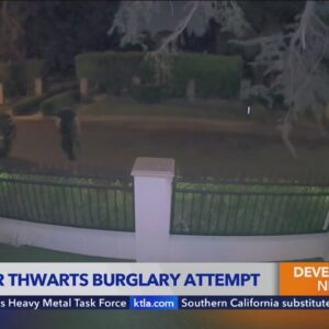 Neighbor opens fire on L.A. burglars with pepperball gun