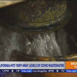 ‘Very high’ COVID levels detected in California’s wastewater, first since last winter