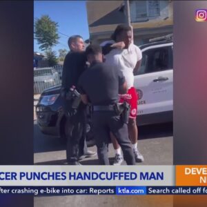 Police org defends officer who punched detained man