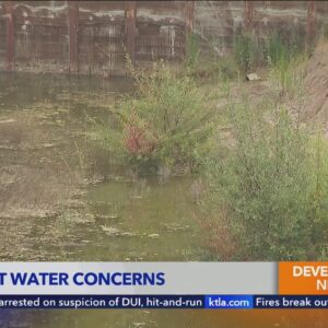 Stagnant water at WeHo construction site raises mosquito concerns