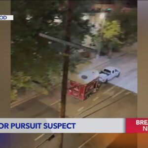 Stolen vehicle pursuit ends in crash