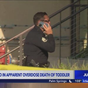 Mom arrested in apparent OD death of toddler; twin brother in critical condition