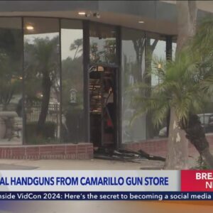 Thieves ransack Ventura County gun store 