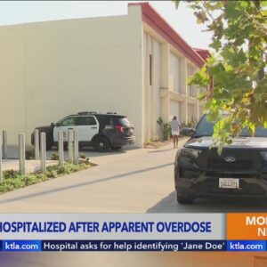 Toddlers hospitalized after apparent overdose in Los Angeles