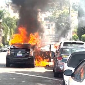 Woman arrested after vehicles torched during Hollywood Hills rampage