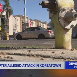 19-year-old dies after being attacked in L.A.'s Koreatown neighborhood