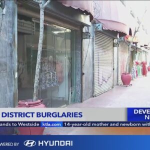 Burglars hit row of businesses in L.A.'s garment district