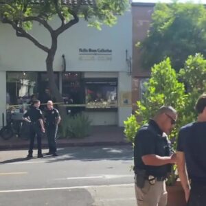 Police investigating attempted robbery on State Street in downtown Santa Barbara