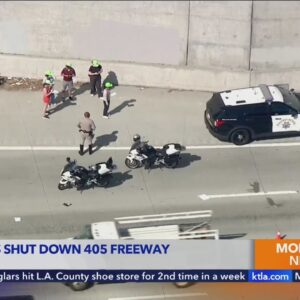 Gaza war protesters shut down 405 Freeway during morning commute