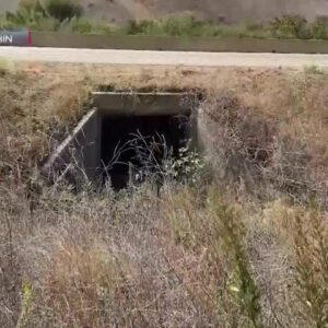 Improvements planned for Gaviota wildlife crossing