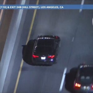 L.A. police pursue suspected car thief