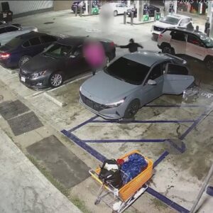 LAPD releases video of fatal gas station ambush-style shooting