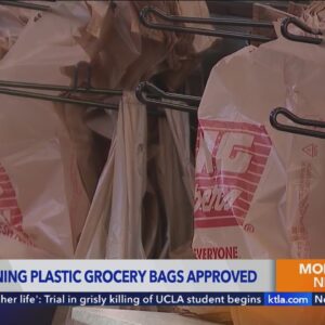 Bill to fully ban plastic grocery bags in California heads to Gov. Newsom