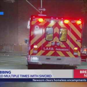 Man attacked with machete, killed in downtown Los Angeles