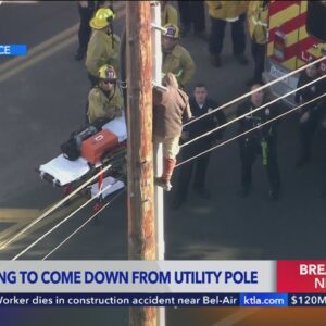 Man refusing to come down utility pole