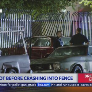 Motorist crashes after being shot in Panorama City