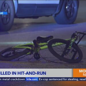 Motorist flees after fatally striking bicyclist in L.A. neighborhood