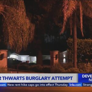 Neighbor thwarts burglary attempt in Tarzana