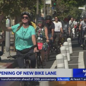 New protected bike lanes official open in Hollywood