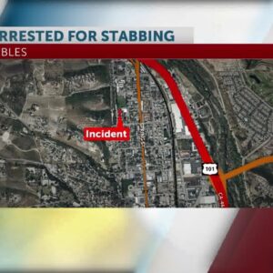 Paso Robles man arrested in connection with early Sunday morning stabbing